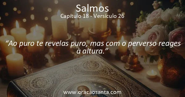 Salmos 18:26