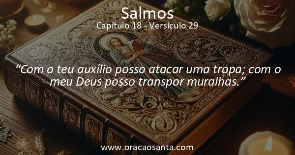 Salmos 18:29
