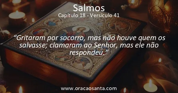 Salmos 18:41