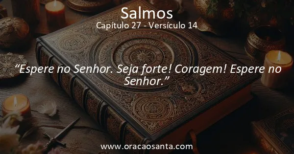 Salmos 27:14