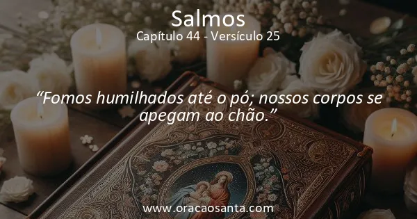 Salmos 44:25