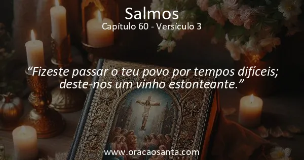 Salmos 60:3