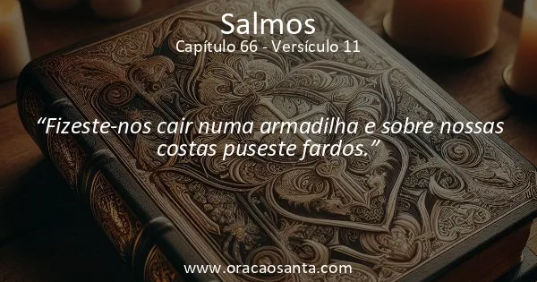 Salmos 66:11
