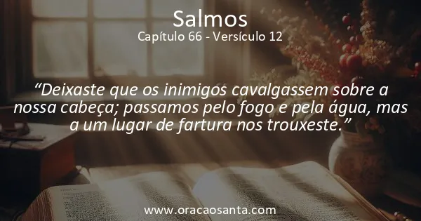 Salmos 66:12