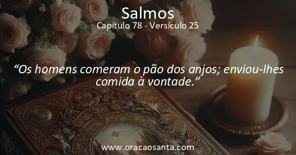 Salmos 78:25