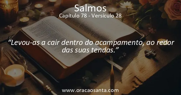 Salmos 78:28