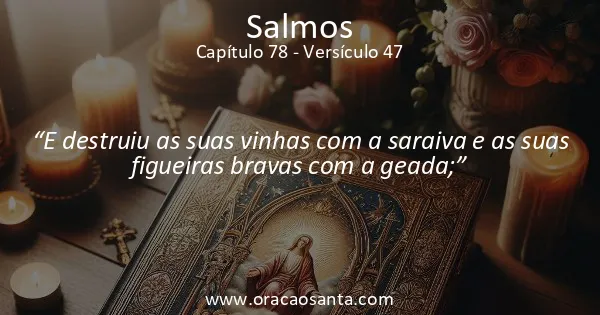 Salmos 78:47