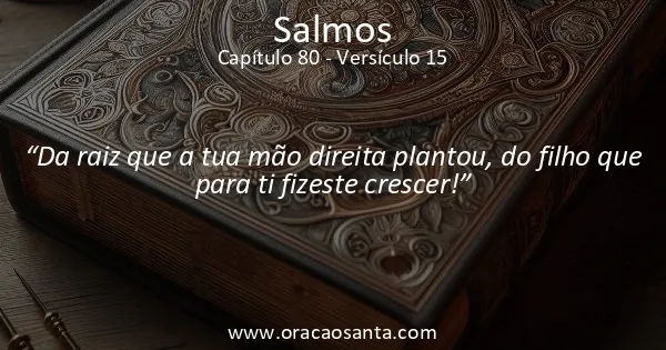 Salmos 80:15