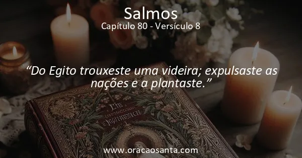 Salmos 80:8