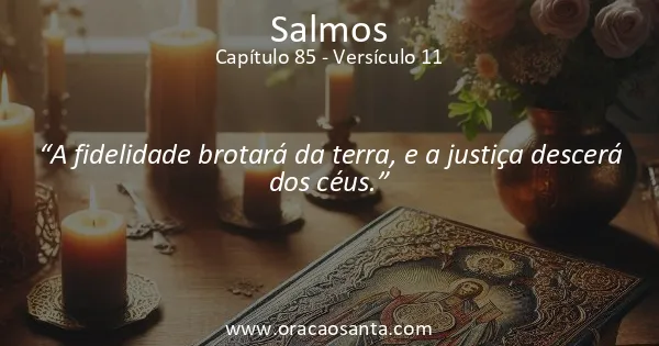 Salmos 85:11