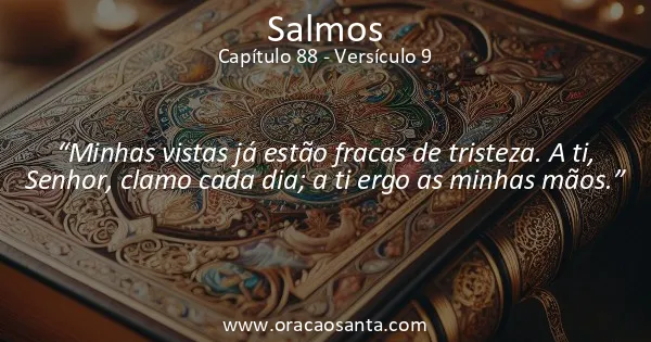 Salmos 88:9