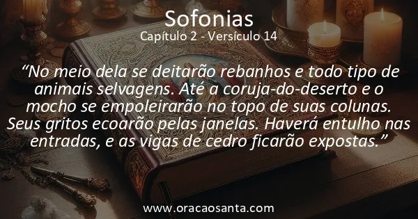 Sofonias 2:14