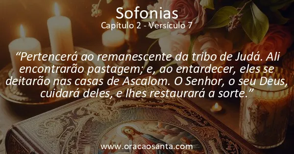 Sofonias 2:7