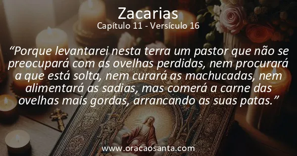 Zacarias 11:16