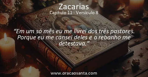 Zacarias 11:8