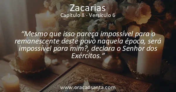 Zacarias 8:6