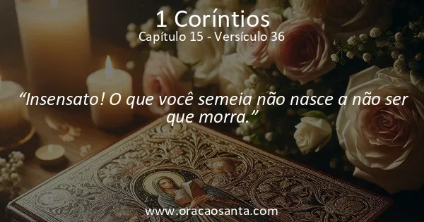 1 Coríntios 15:36