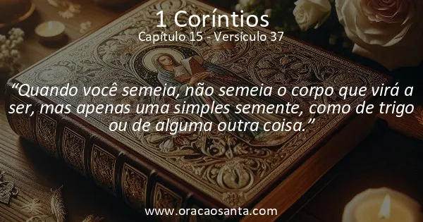 1 Coríntios 15:37