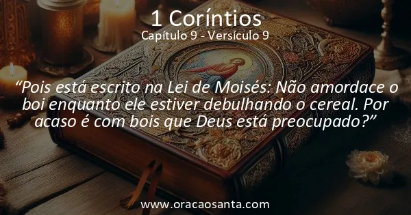 1 Coríntios 9:9