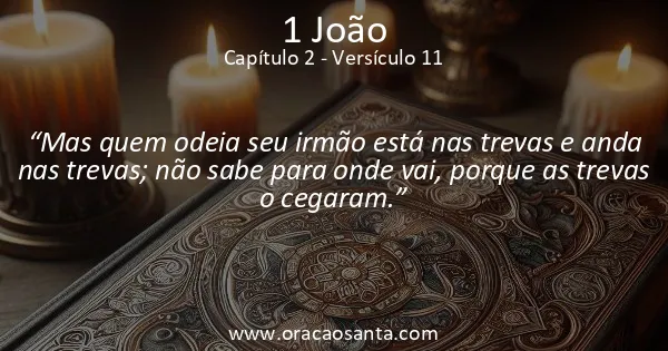 1 João 2:11