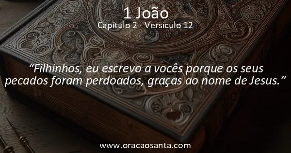 1 João 2:12