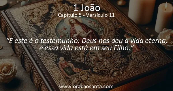1 João 5:11
