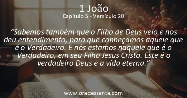 1 João 5:20