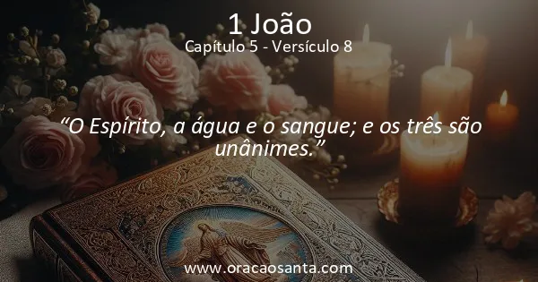 1 João 5:8