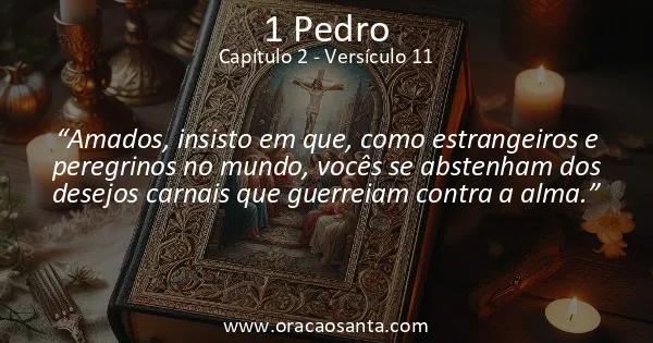 1 Pedro 2:11