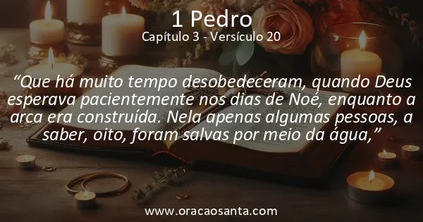 1 Pedro 3:20