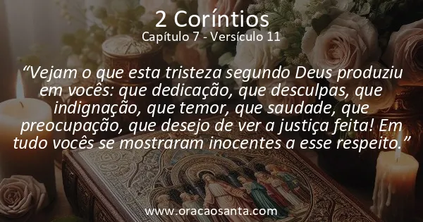 2 Coríntios 7:11