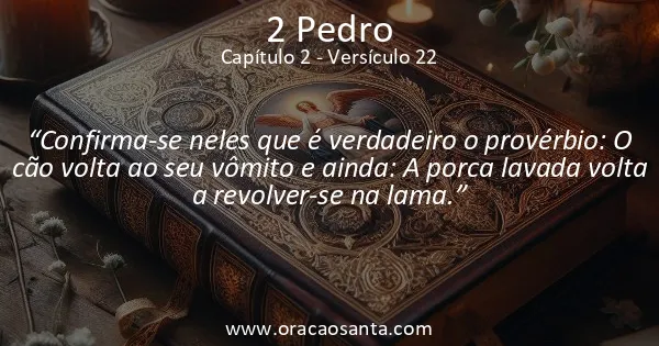 2 Pedro 2:22