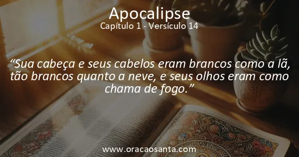 Apocalipse 1:14