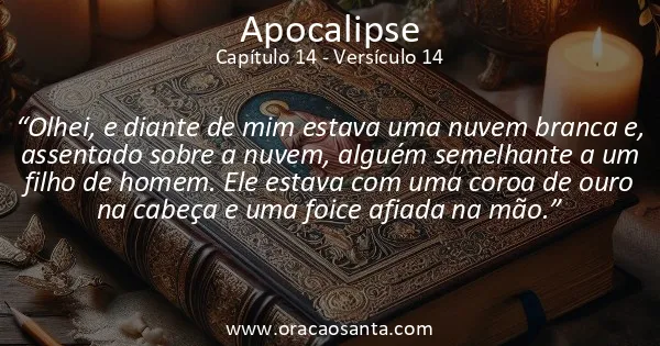 Apocalipse 14:14