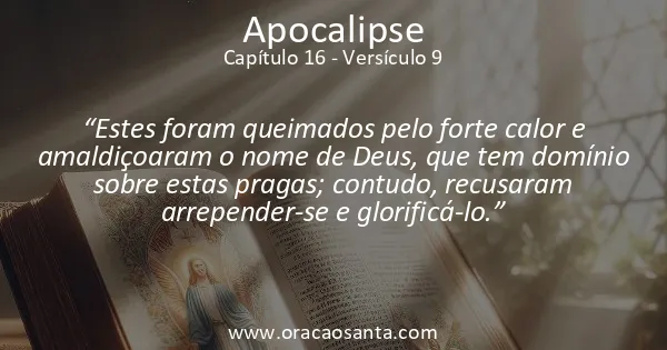 Apocalipse 16:9