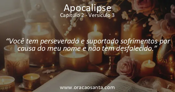 Apocalipse 2:3