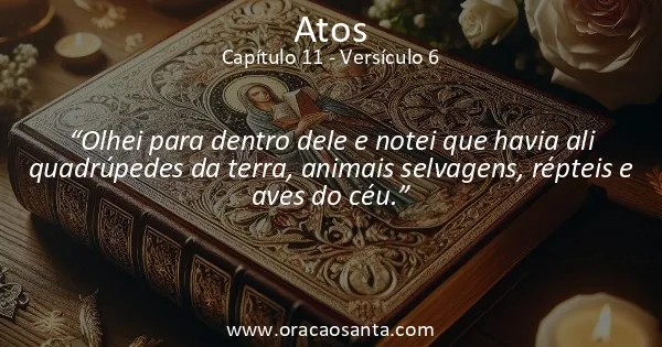 Atos 11:6