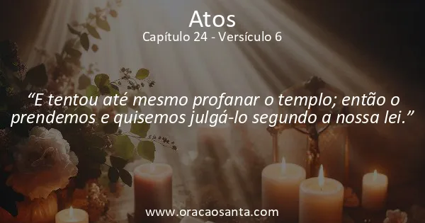 Atos 24:6