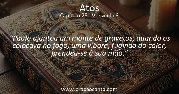 Atos 28:3