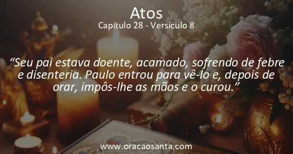 Atos 28:8