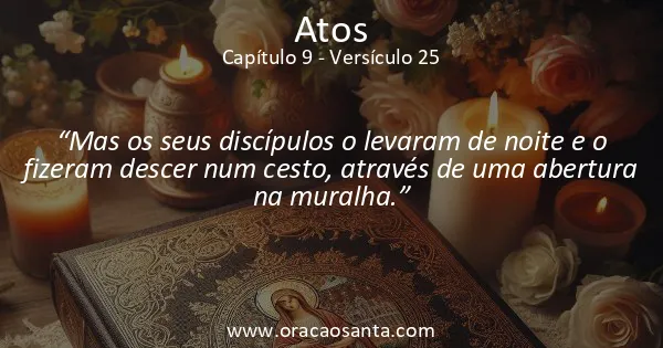 Atos 9:25