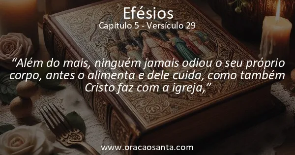 Efésios 5:29