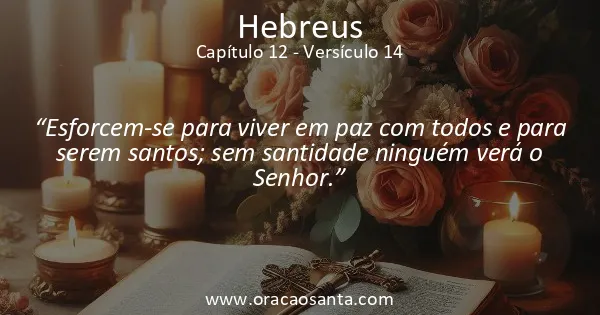 Hebreus 12:14