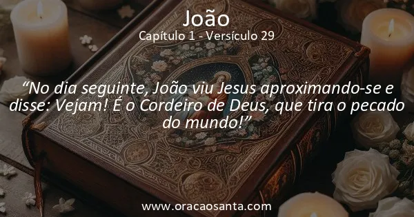 João 1:29