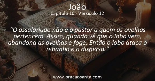 João 10:12