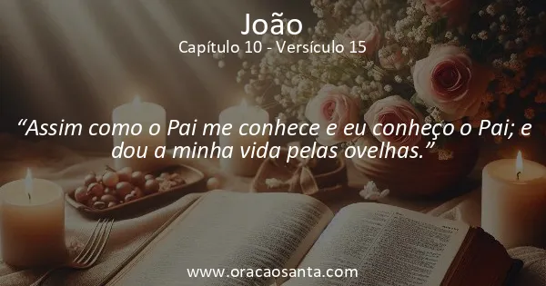 João 10:15