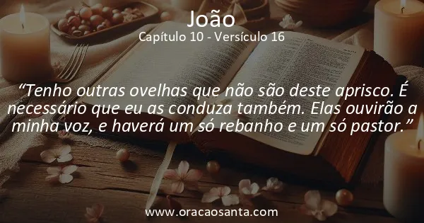 João 10:16