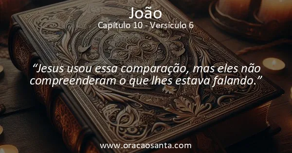 João 10:6