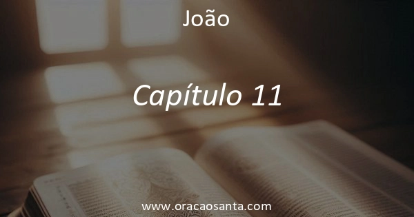 João 11