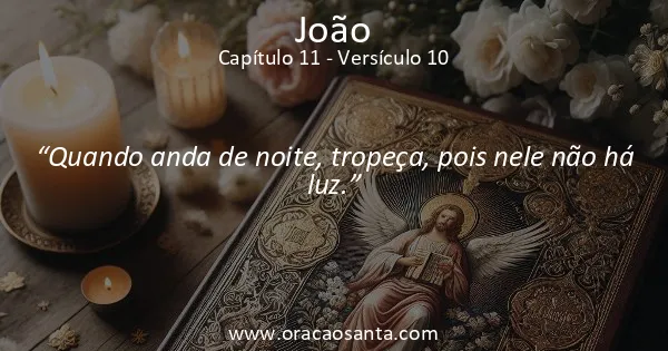 João 11:10